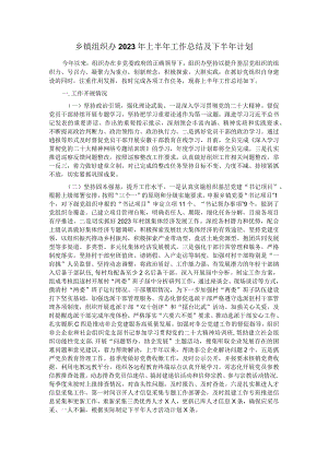 乡镇组织办2023年上半年工作总结及下半年计划.docx