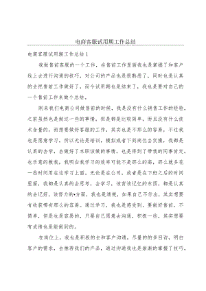 电商客服试用期工作总结.docx