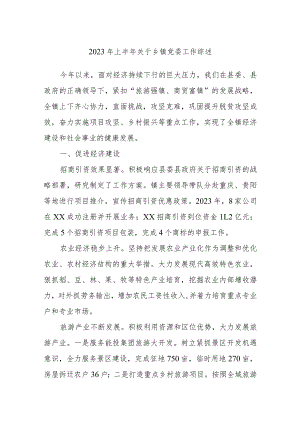 2023年上半年乡镇党委工作综述.docx
