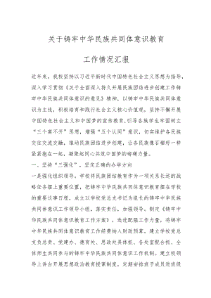 关于铸牢中华民族共同体意识教育工作情况汇报.docx