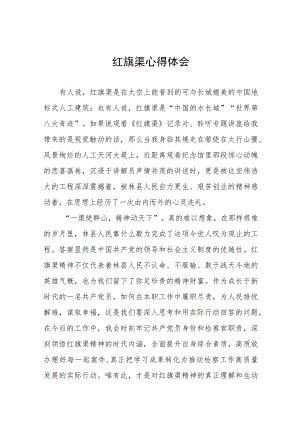 学习红旗渠精神心得体会7篇.docx