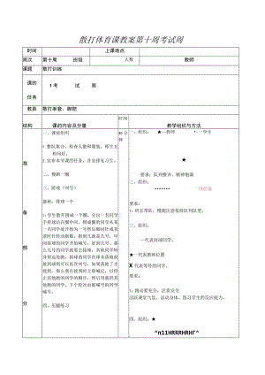 散打体育课教案第十周考试周.docx