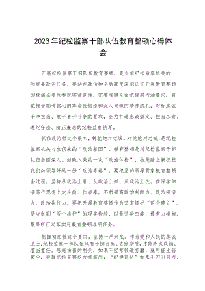 2023年全国纪检监察干部队伍教育整顿的心得体会发言材料八篇.docx