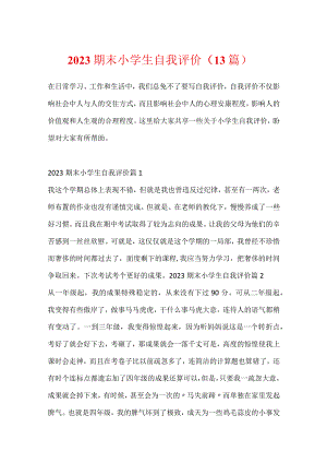 2023期末小学生自我评价（13篇）.docx