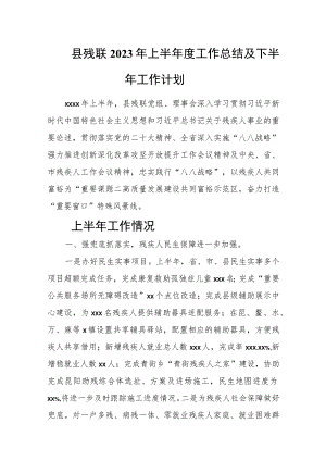 县残联2023年上半年度工作总结及下半年工作计划.docx