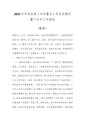 （2篇）2023年市发改委上半年重点工作完成情况暨下半年工作谋划.docx
