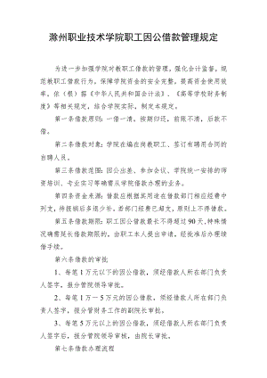 滁州职业技术学院职工因公借款管理规定.docx