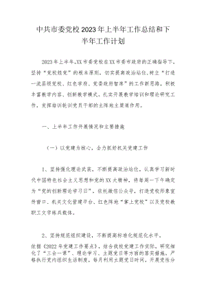 中共市委党校2023年上半年工作总结和下半年工作计划.docx