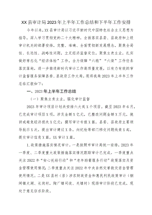 XX县审计局2023年上半年工作总结和下半年工作安排.docx