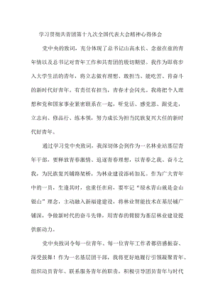 民营企业党员干部学习贯彻共青团第十九次全国代表大会精神个人心得体会 （7份）.docx