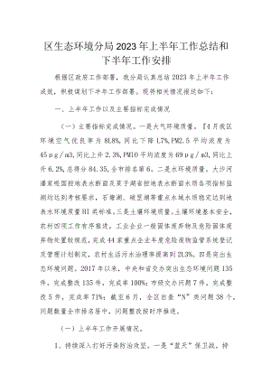 区生态环境分局2023年上半年工作总结和下半年工作安排.docx