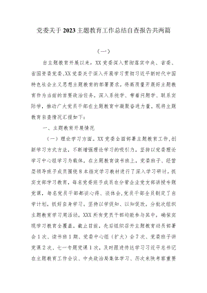 党委关于2023主题教育工作总结自查报告共两篇.docx