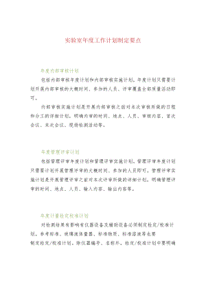 实验室年度工作计划制定要点.docx
