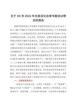 关于XX市2023年全面深化改革专题培训情况的报告.docx