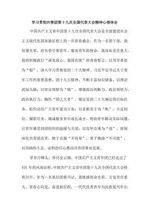 骨干教师学习贯彻共青团第十九次全国代表大会精神个人心得体会 （合计8份）.docx