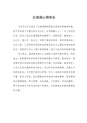 红旗渠参观见学心得体会5篇.docx