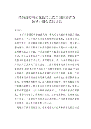 某某县委书记在县第五次全国经济普查领导小组会议的讲话.docx