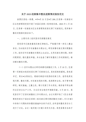 关于2023巡察集中整改进展情况报告范文.docx