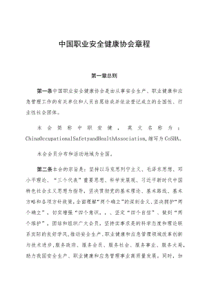 职业安全健康协会章程.docx
