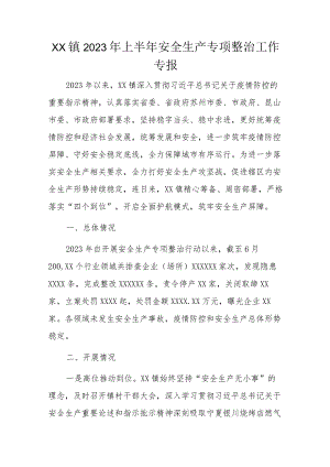 XX镇2023年上半年安全生产专项整治工作专报.docx