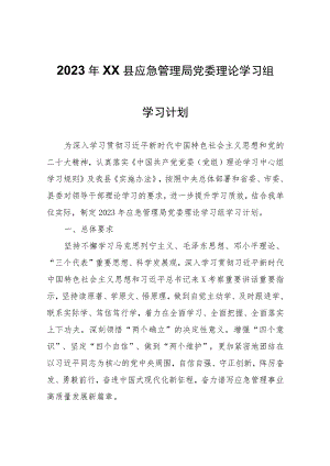 2023年XX县应急管理局党委理论学习组学习计划.docx