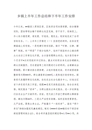 乡镇上半年工作总结和下半年工作安排.docx