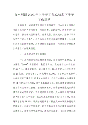 市水利局2023年上半年工作总结和下半年工作思路.docx