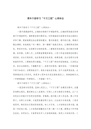 2023青年干部学习“千万工程”心得体会范文【10篇精选】供参考.docx