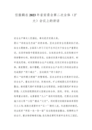 任振鹤在2023年省安委会第二次全体（扩大）会议上的讲话.docx