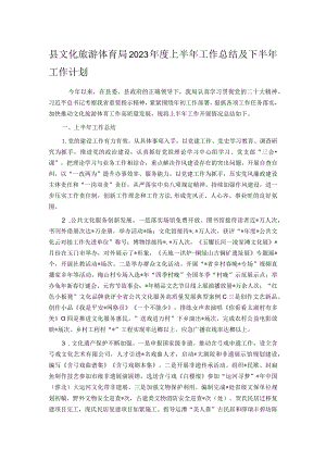 县文化旅游体育局2023年度上半年工作总结及下半年工作计划.docx