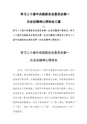 学习二十届中央国家安全委员会第一次会议精神心得体会三篇.docx
