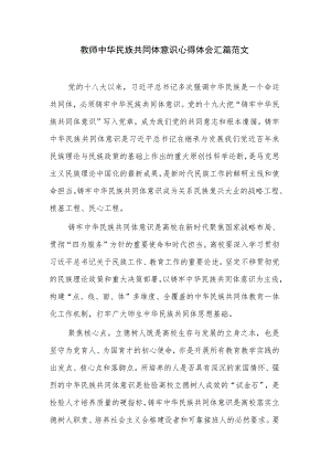 教师中华民族共同体意识心得体会汇篇范文.docx