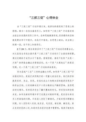 党员干部关于落实三抓三促行动的心得体会八篇.docx