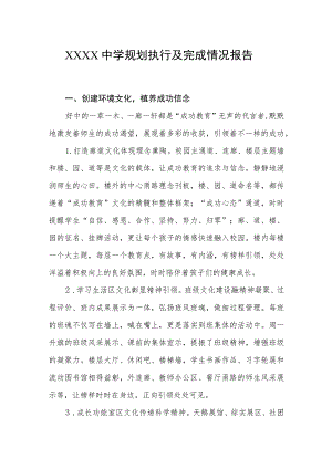 中学规划执行及完成情况报告.docx