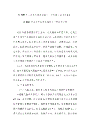 局2023年上半年工作总结和下一步工作计划(二篇).docx