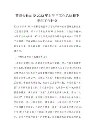 某市委社治委2023年上半年工作总结和下半年工作计划.docx
