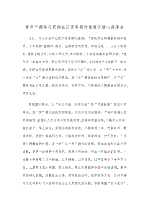 青年干部学习贯彻在江苏考察时重要讲话心得体会.docx