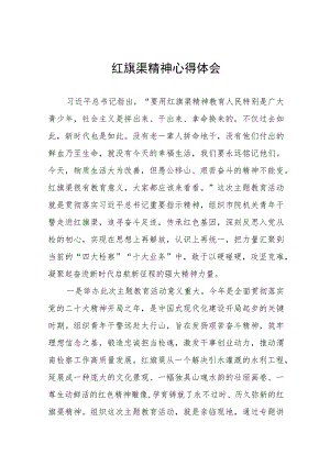传承红旗渠精神主题教育活动心得体会五篇.docx