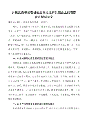 乡镇党委书记在巡察反馈会议上的表态发言材料.docx