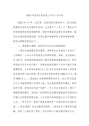 2023年度区民政局上半年工作总结.docx