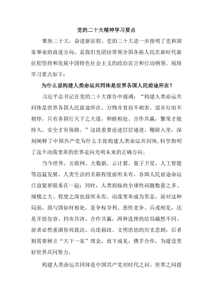 国企单位开展《党的二十大精神》学习要点 （6份）.docx
