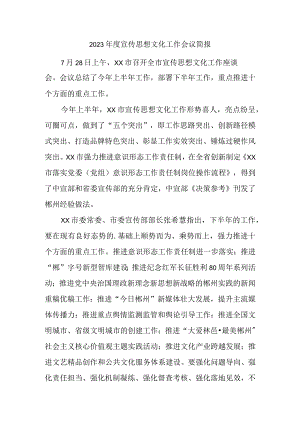 2023年度宣传思想文化工作会议简报.docx