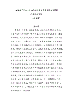 2023关于坚定文化自信建设文化强国专题学习研讨心得体会发言共6篇.docx