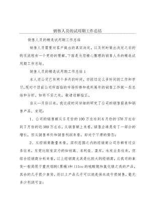 销售人员的试用期工作总结.docx