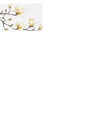 四页简历 (21).docx