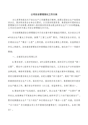 公司安全管理强化工作方案.docx