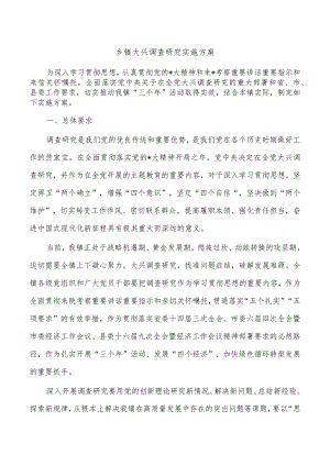 乡镇大兴调查研究实施方案.docx
