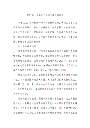 2023年上半年关于乡镇党委工作综述.docx
