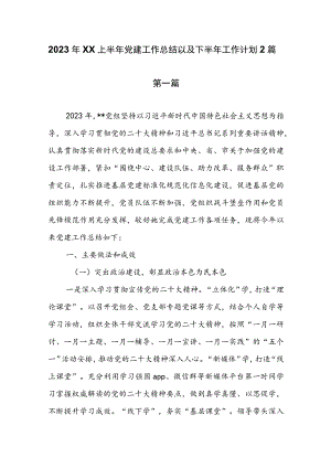 2023年XX上半年党建工作总结以及下半年工作计划2篇.docx