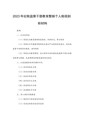 2023年纪检监察干部教育整顿个人检视剖析材料.docx